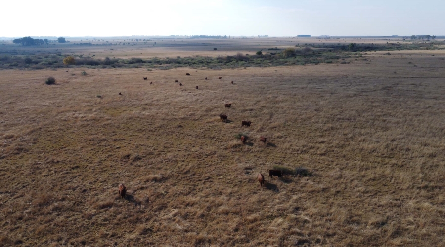 0 Bedroom Property for Sale in Koppies Rural Free State